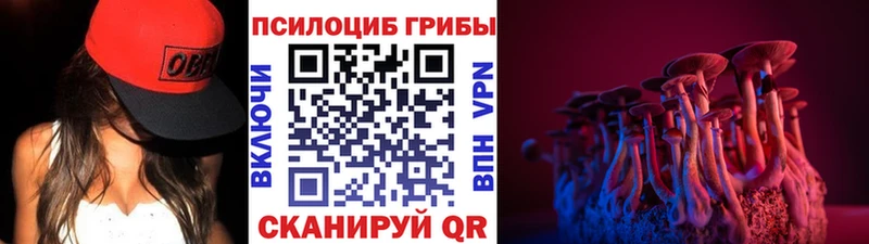 где купить   Кореновск  Галлюциногенные грибы Psilocybine cubensis 